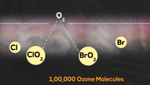 Ozon Layer Depletion